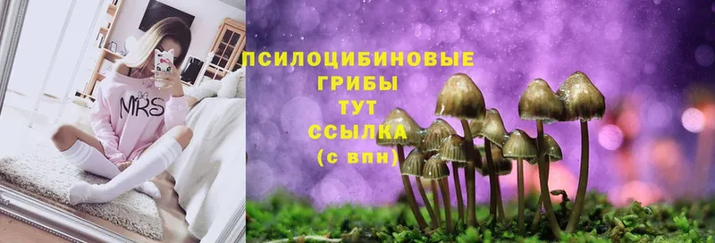 Галлюциногенные грибы Magic Shrooms  Беслан 